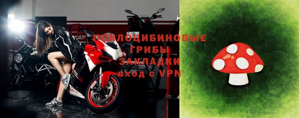 соль ск Вяземский