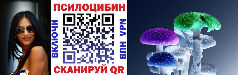Галлюциногенные грибы Psilocybine cubensis  Купить закладки  Чистополь 